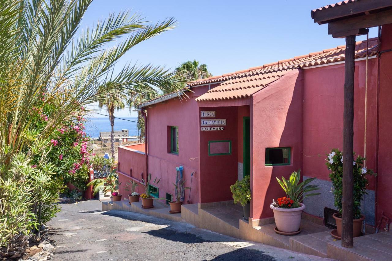 Finca La Gaviota - Las Flores Икод-де-лос-Винос Экстерьер фото